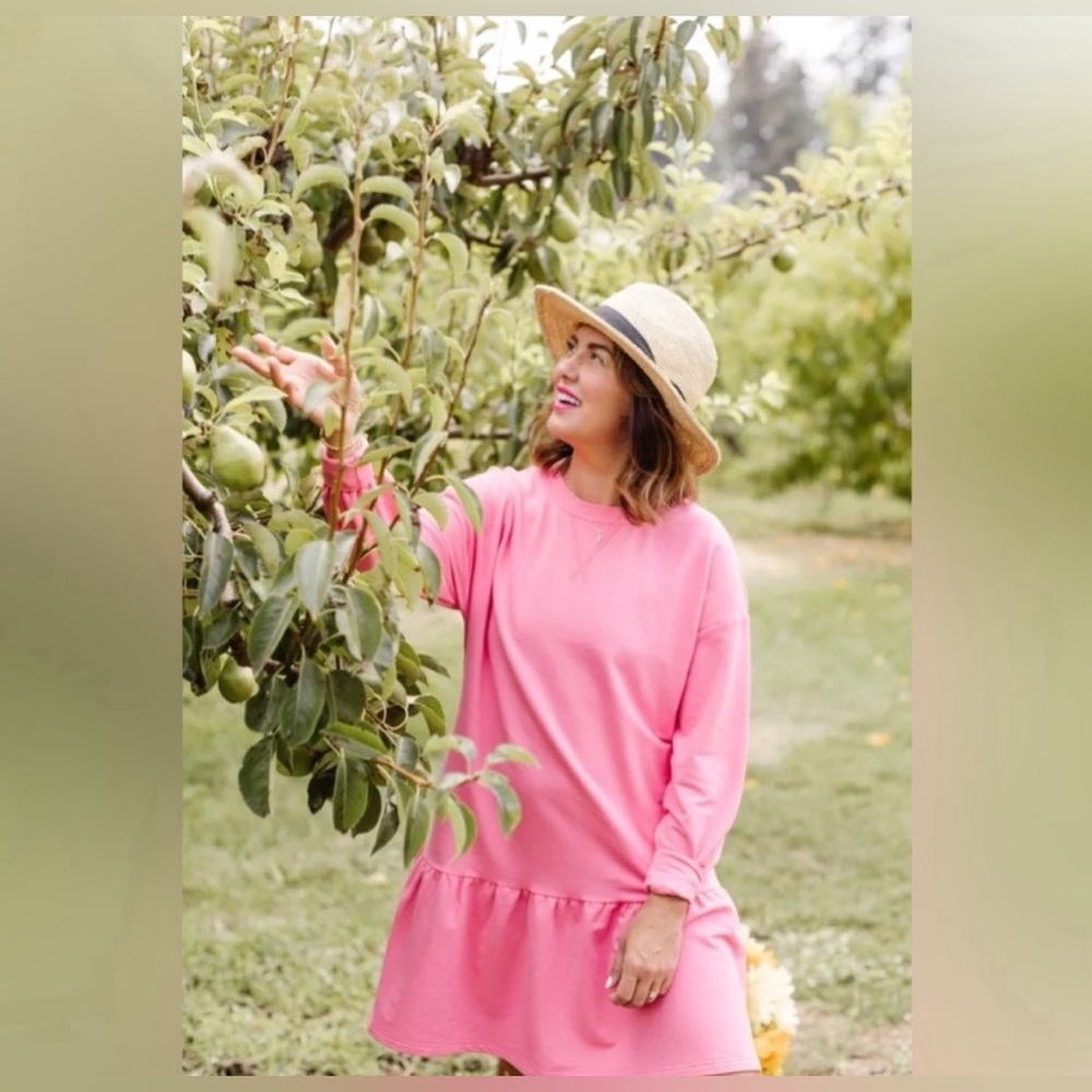 Smash + Tess Pink Long Sleeve Ruffle Hem Dress Size Small